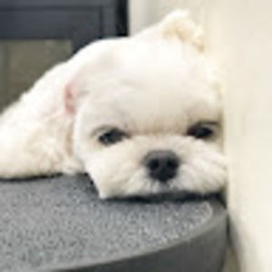 Meet your Posher, Yue